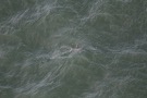 Missing Picture